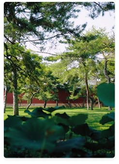 Garden details