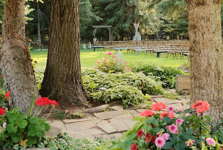 Garden flowers